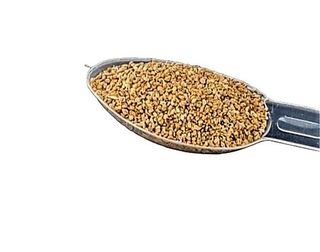 Celery Seeds 1kg