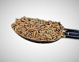 Dill Seeds 1kg