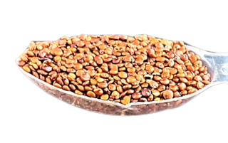 Quinoa Red 1kg